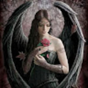 Meet your Posher, Heart